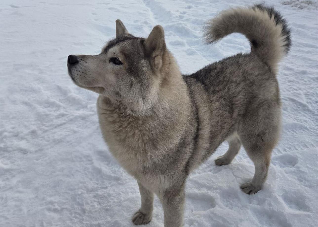 В целом тур хороший. Это если кратко