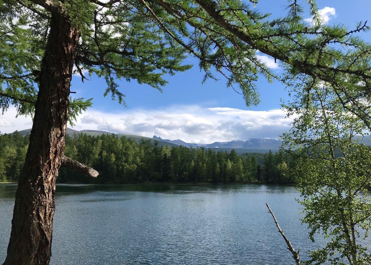 Алтай многоликий. Экскурсионный тур