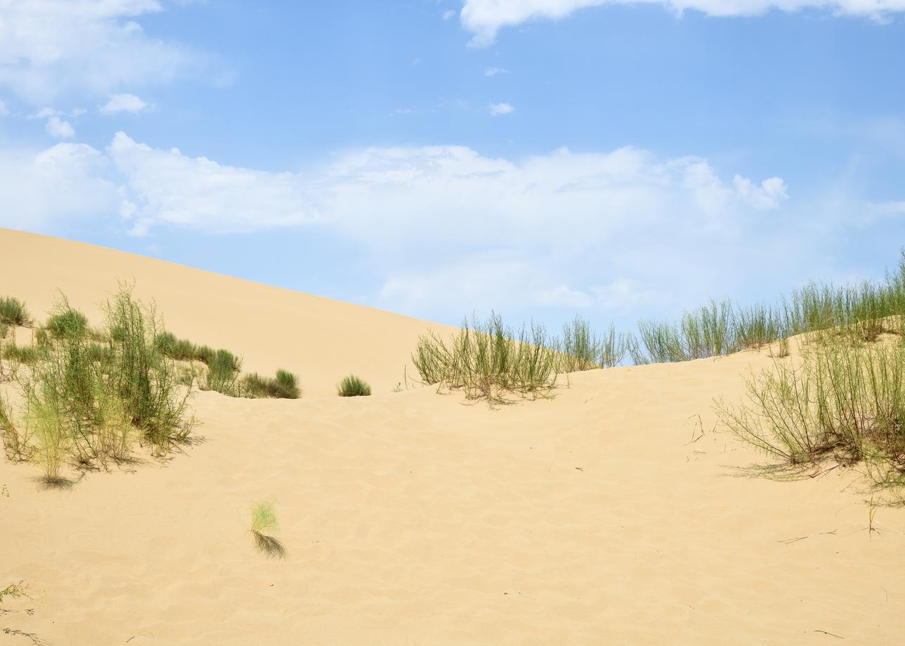 Восточные горизонты осенью: Чечня и Дагестан