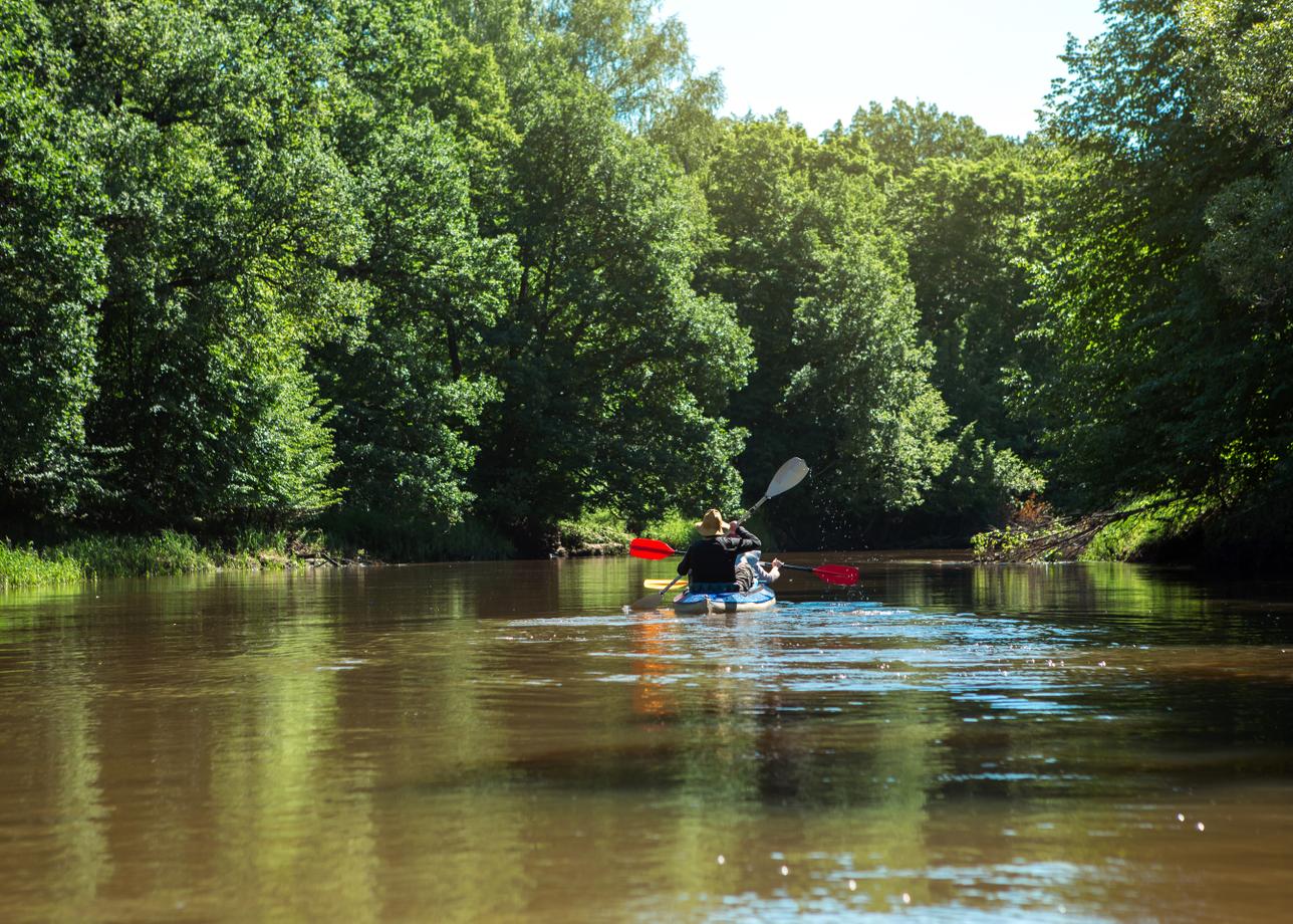 На байдарках по нижней Вороне
