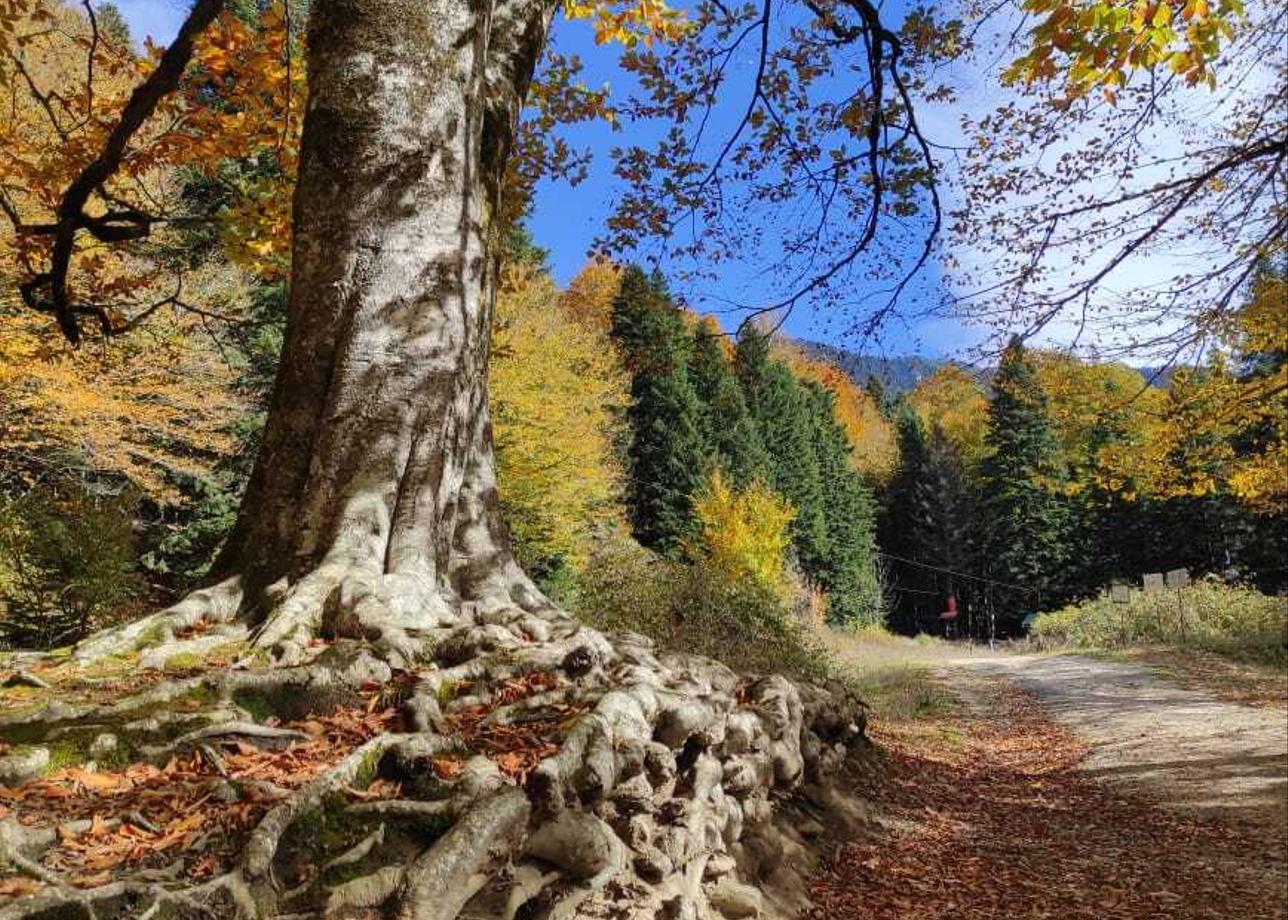 Впечатления не передаваемые, всё очень понравилось. Красота неописуемая.