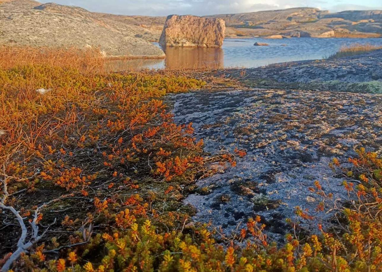 Спасибо организаторам, координаторам, сопровождающим и всем вовлеченным людям. Хорошие условия проживания, кормили отлично, маршруты интересные. Сходила