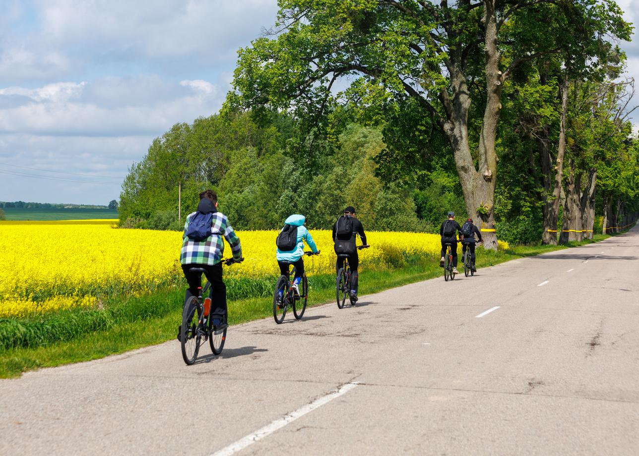 Колесо обозрения. Велопутешествие по Калининградской области