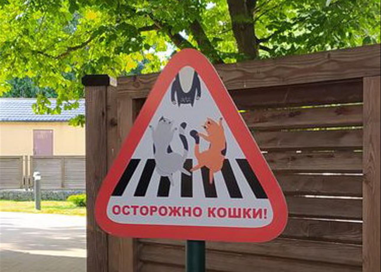 Тур очень понравился, всё организовано очень хорошо. Мы жили в отеле &quot;Вилла Татьяна&quot; на Литейной -