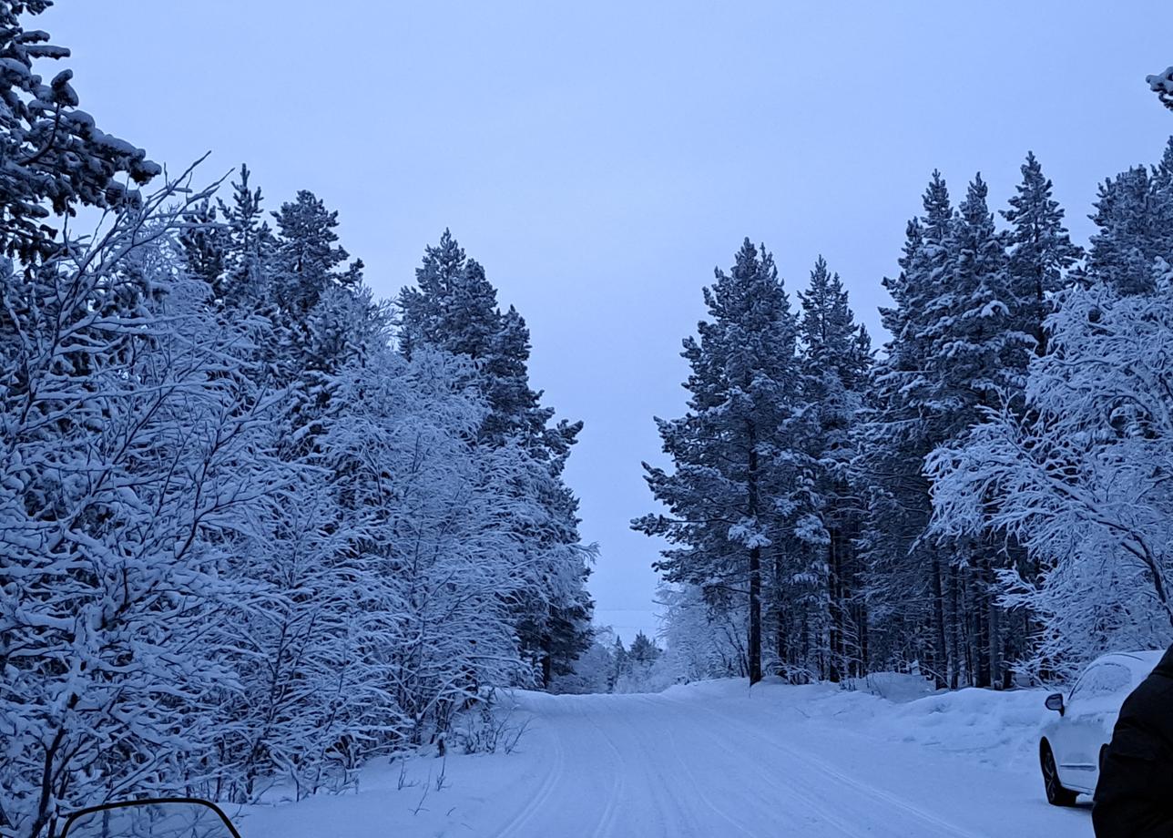 Арктические каникулы в Мурманске были замечательными. Нас порадовали не только организаторы, но и погода