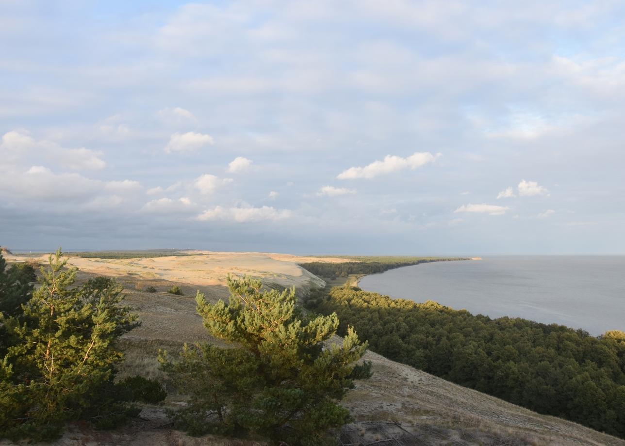 Семейный Калининград: путешествие в янтарный край и сказочное средневековье 6+