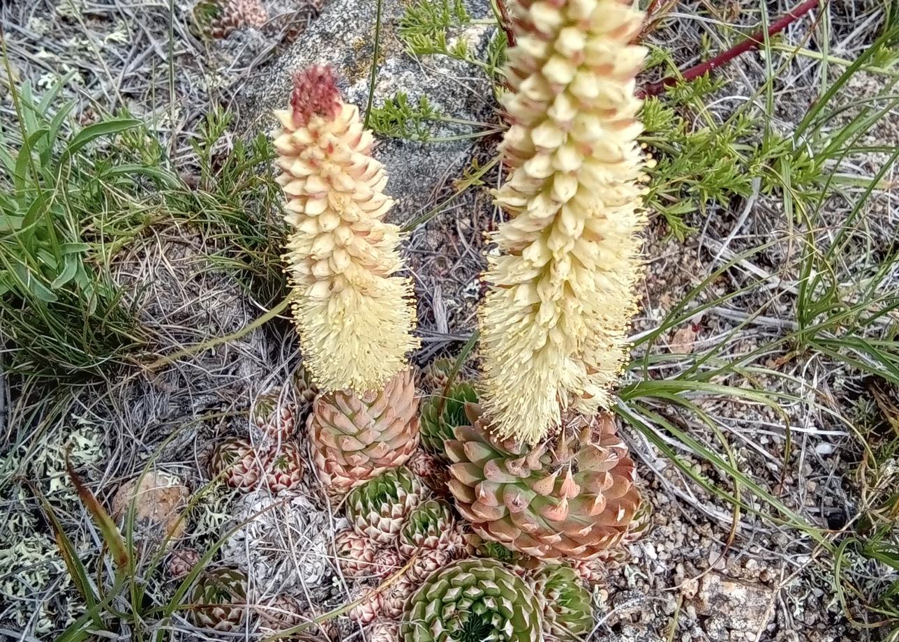 Были с мужем на экскурсии тура &quot;Запад и Восток Байкала. Путешествие по двум берегам. &quot;