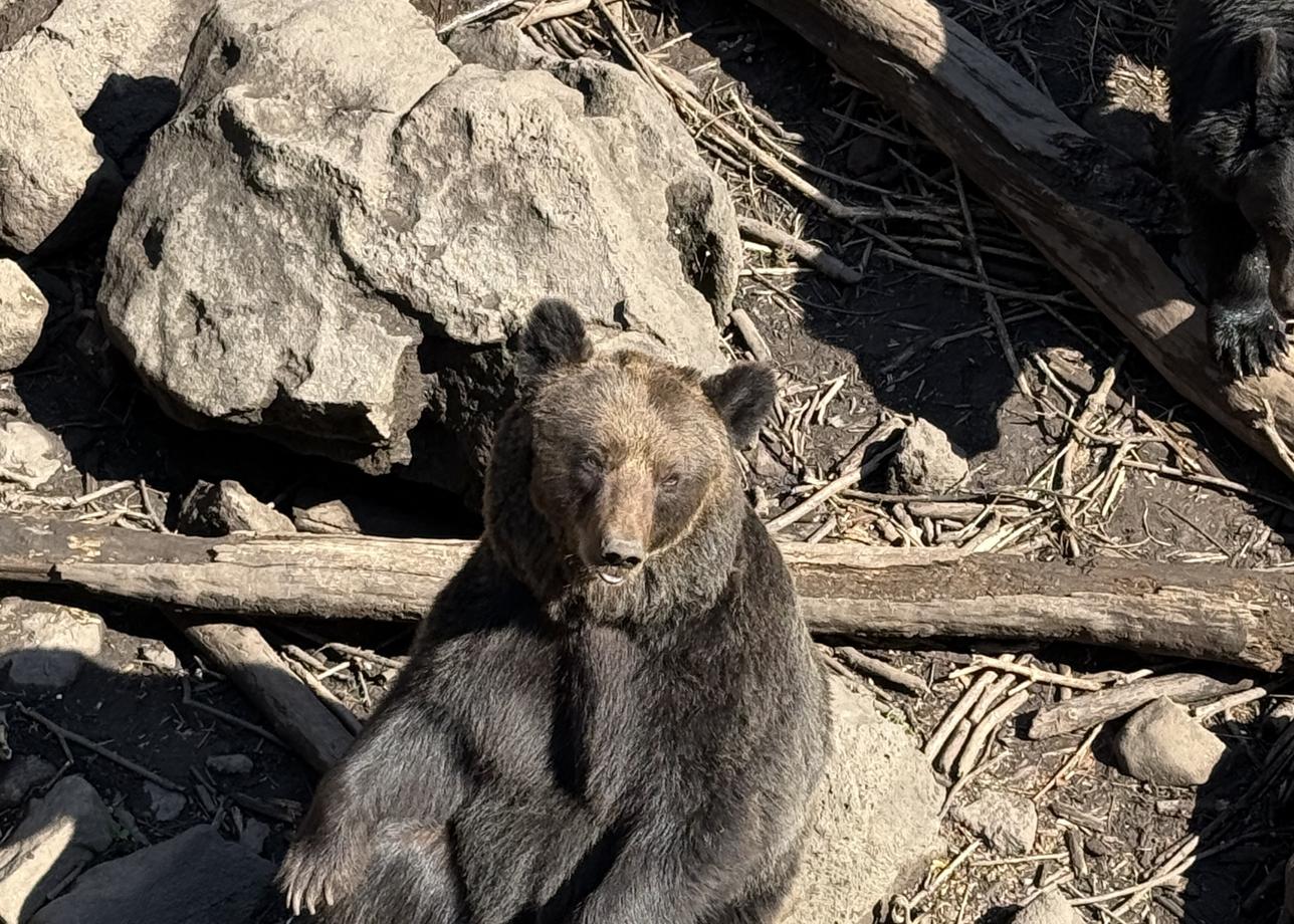 Я очень рада, что выбрала тур с посещением не только Владивостока, но и Находки, так как этот город меня тоже поразил своими пляжами)))