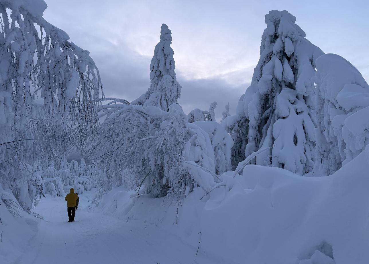Очень интересный и насыщенный тур! Мы очень довольны. Формат подходит для семьи с детьми. Зимой, конечно