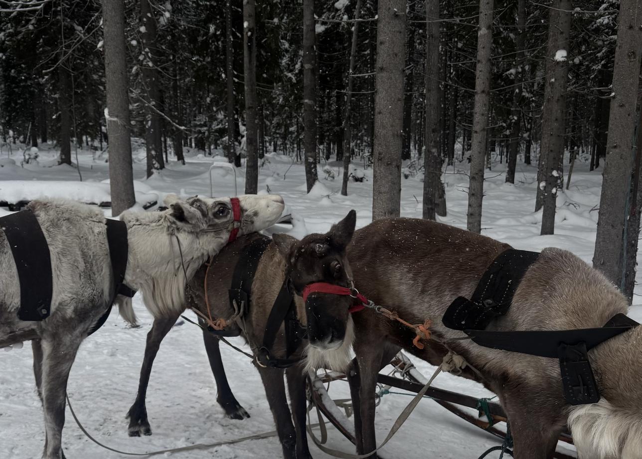 очень крутой тур на два дня! и не много, и не мало) приехали, сразу пошли завтракать