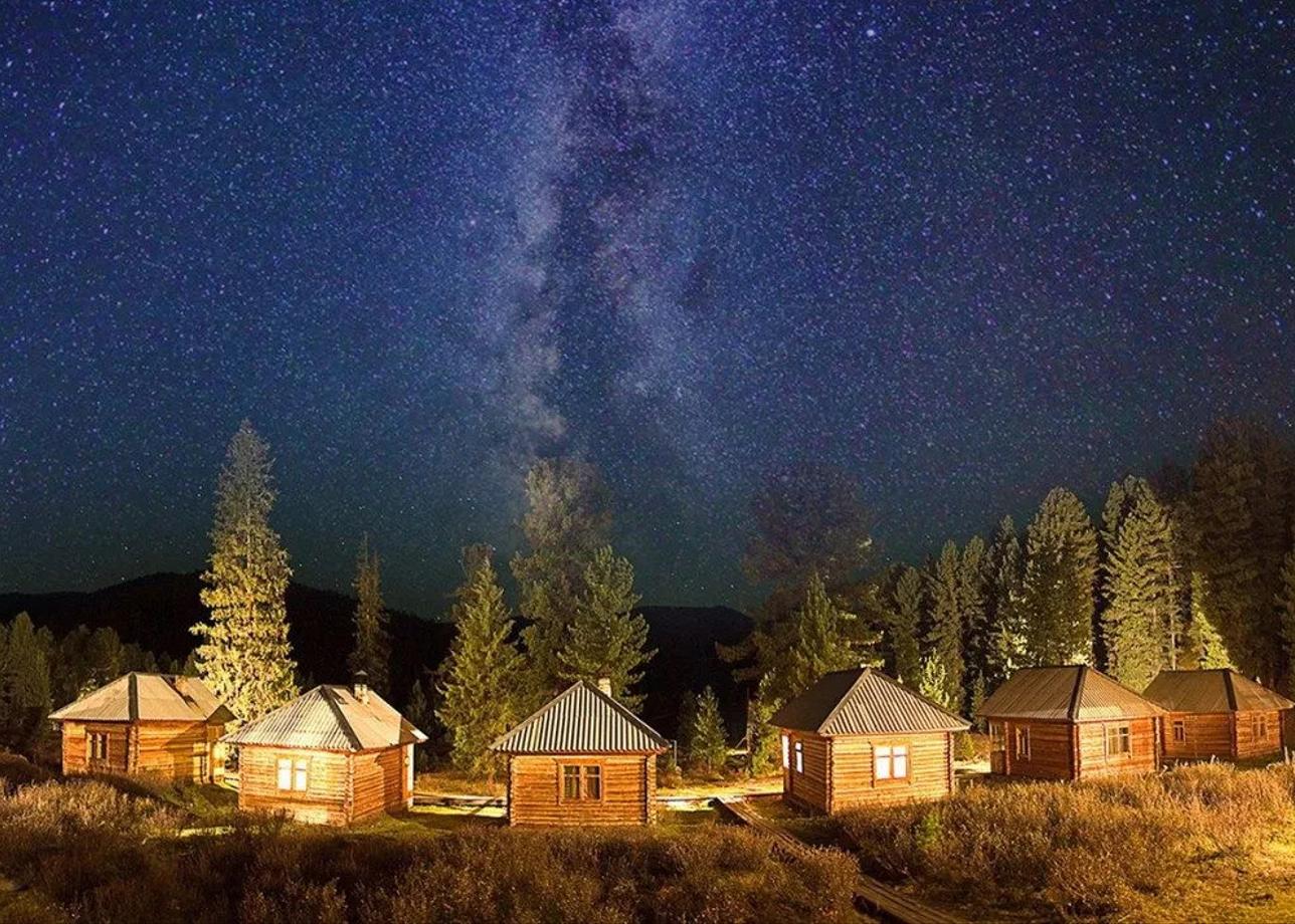 Снежный барс