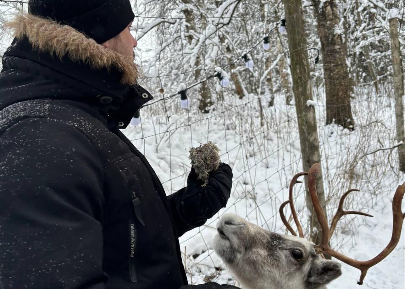 Очень понравился тур! Как за 3 дня увидеть основное в Карелии. А езда на упряжке с