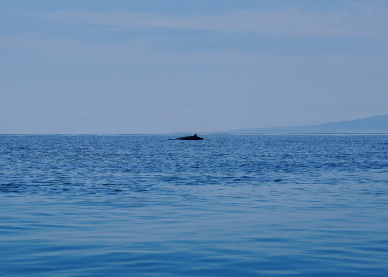 Итуруп и Кунашир. Тур на 9 дней