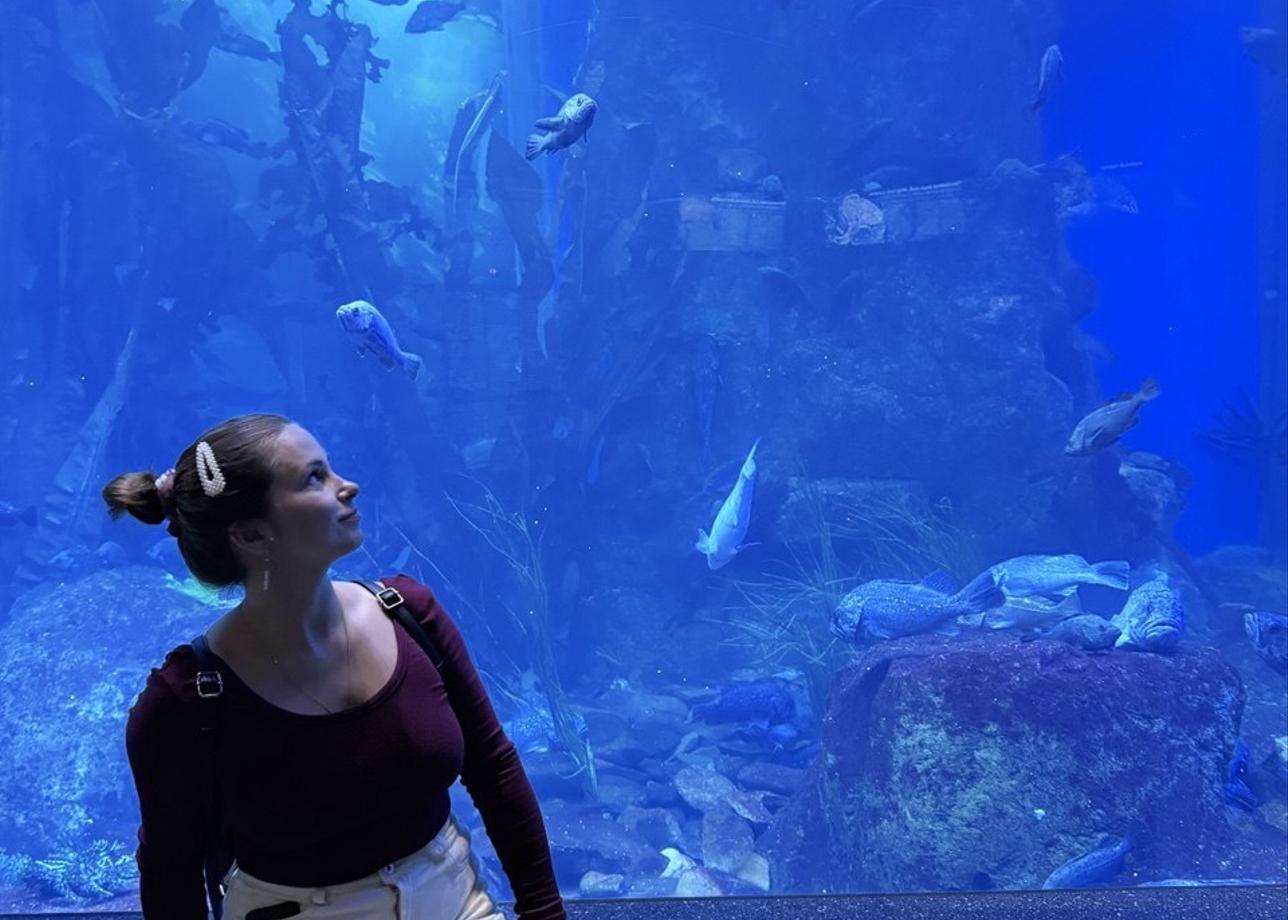 Без нареканий, все услуги превзошли ожидания. Высококвалифицированные гиды, приятные водители, места размещения уютные, чистые, вкусные завтраки!