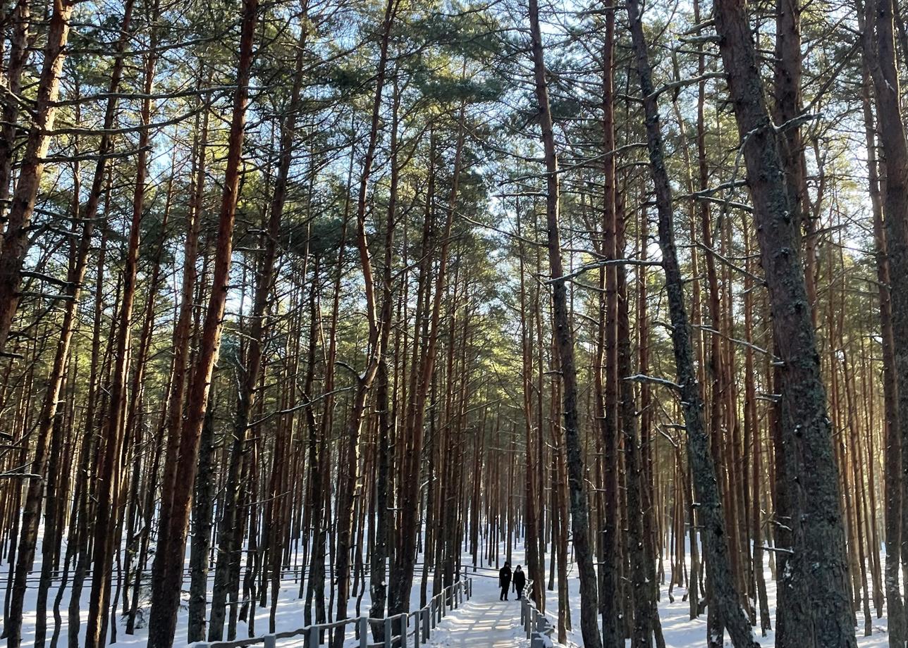 Я первый раз была в Калининградской области и ни о чём не пожалела. Было очень интересно