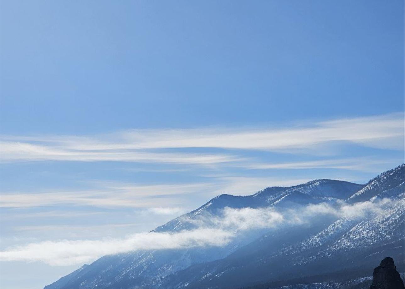 Добрый день! Все прошло прекрасно!