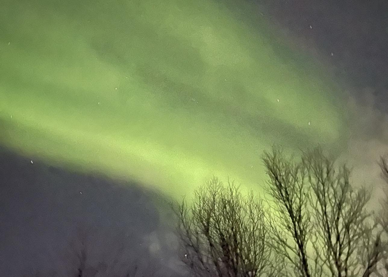 Поездка очень понравилась!! Были на Кольском с 6 по 9 ноября 2025. Несмотря на облачность, благодаря