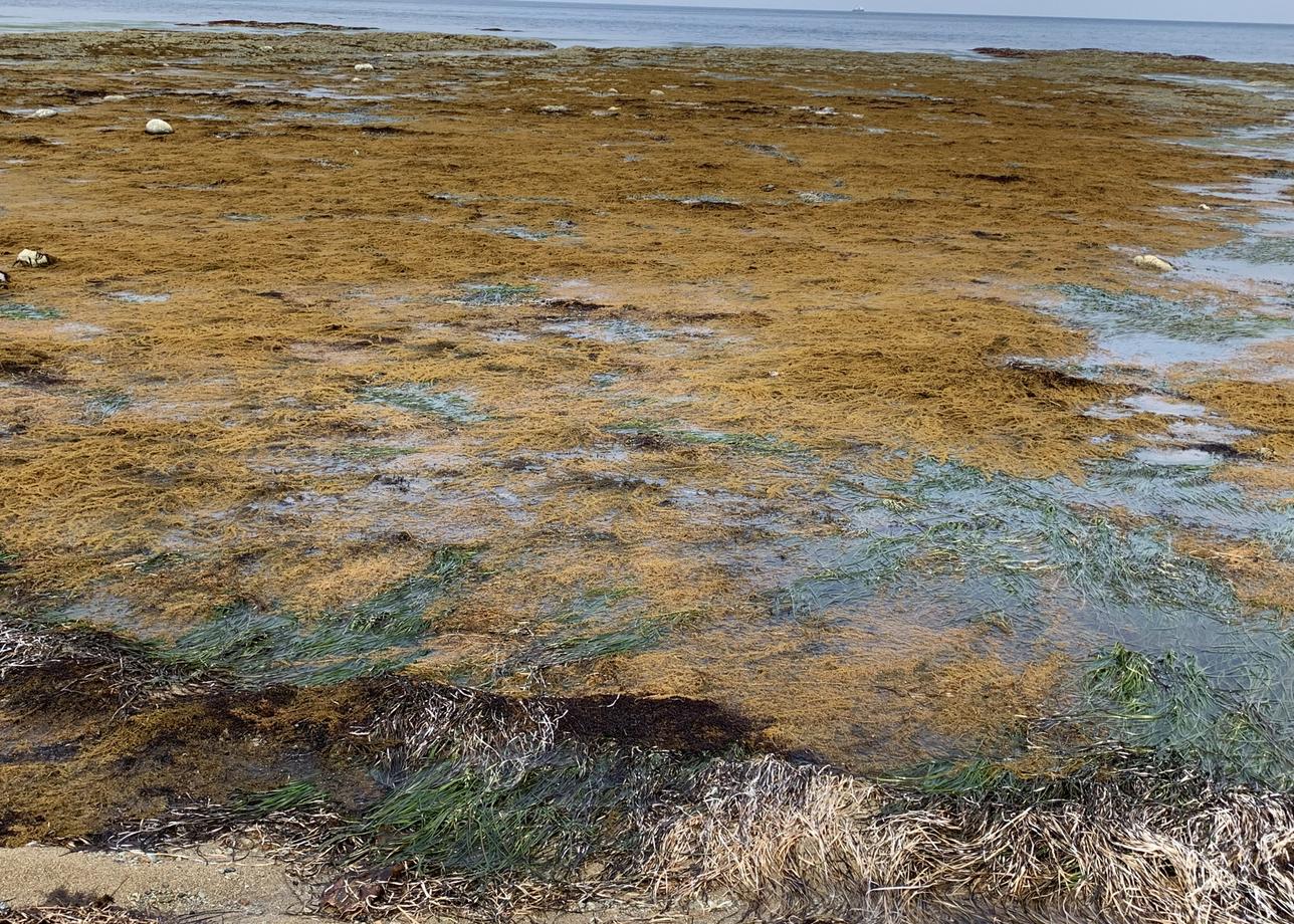 Очень интересный и познавательный тур. Красота природы завораживает! Впечатления незабываемые на всю жизнь!!!