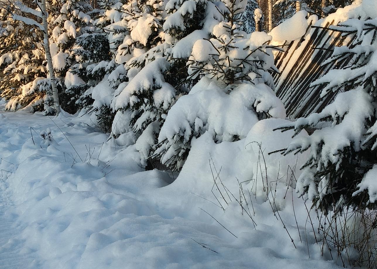 Моя поезда была в сказочный край Карелия. Тур был 4х дневный. Каждый день был насыщенный разными
