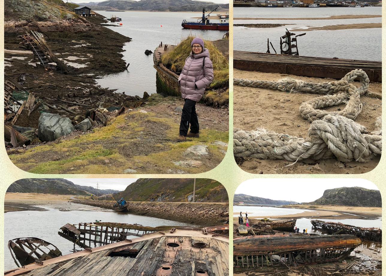 Интересный тур, природа севера впечатляет, Баренцево море бескрайнее. Довольно плотно были заполнены все три дня. Гид