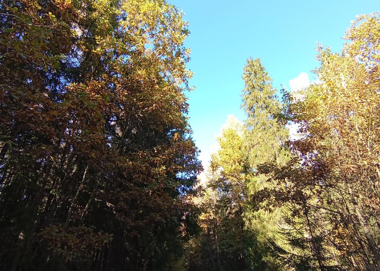 Вернулась из тура уже две недели назад, приходила в себя:) Программа похода составлена хорошо, и даже