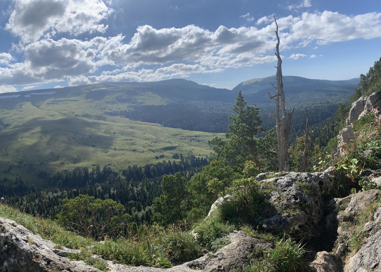 Отличный тур, можно сказать, что all inclusive. Программа интересная как для пожилых, так и для молодых