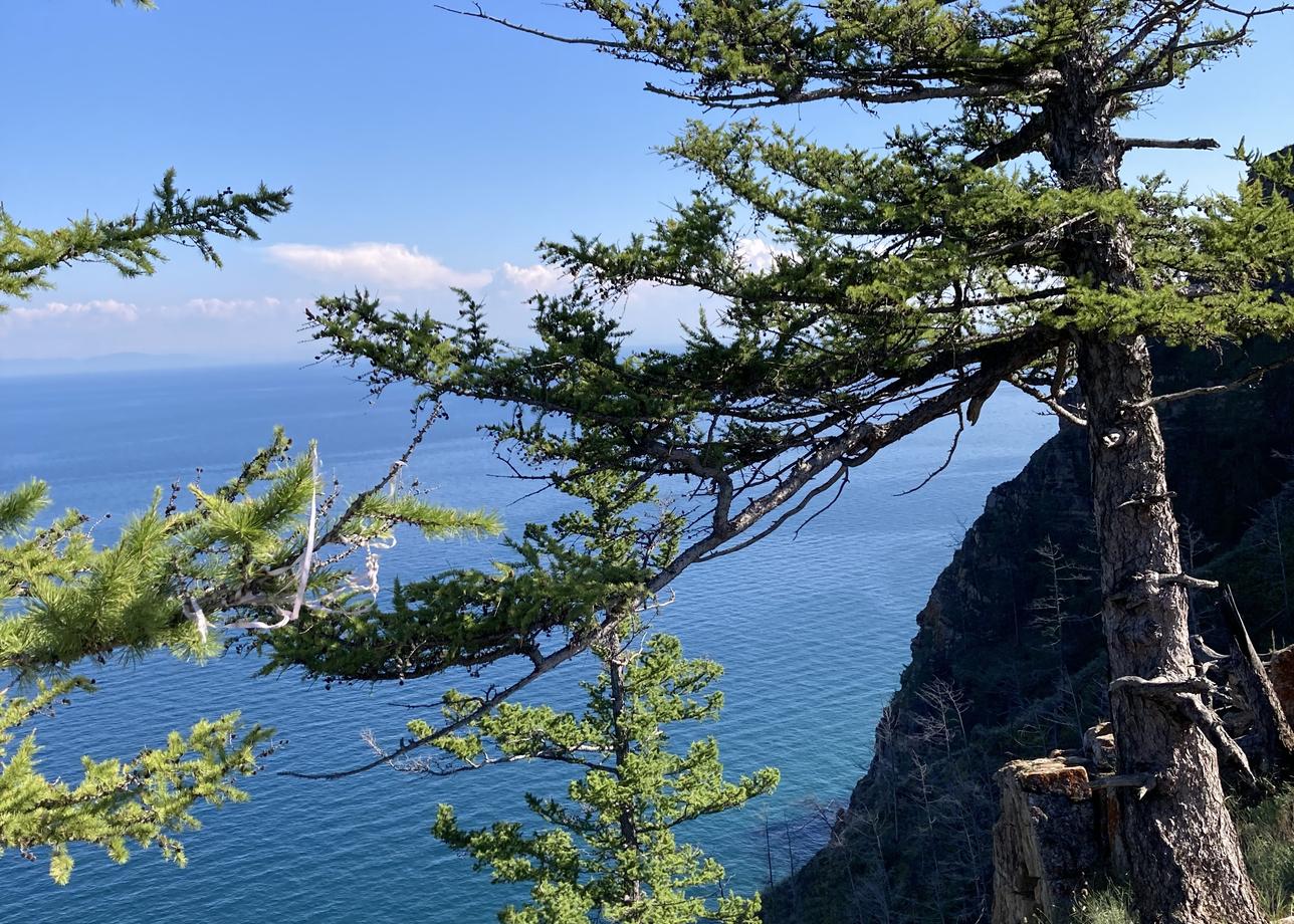 Прекрасное путешествие, непередаваемая красота Байкала и Ольхона. Все было чудесно- живописные берега, прогулки на поезде, пароме,