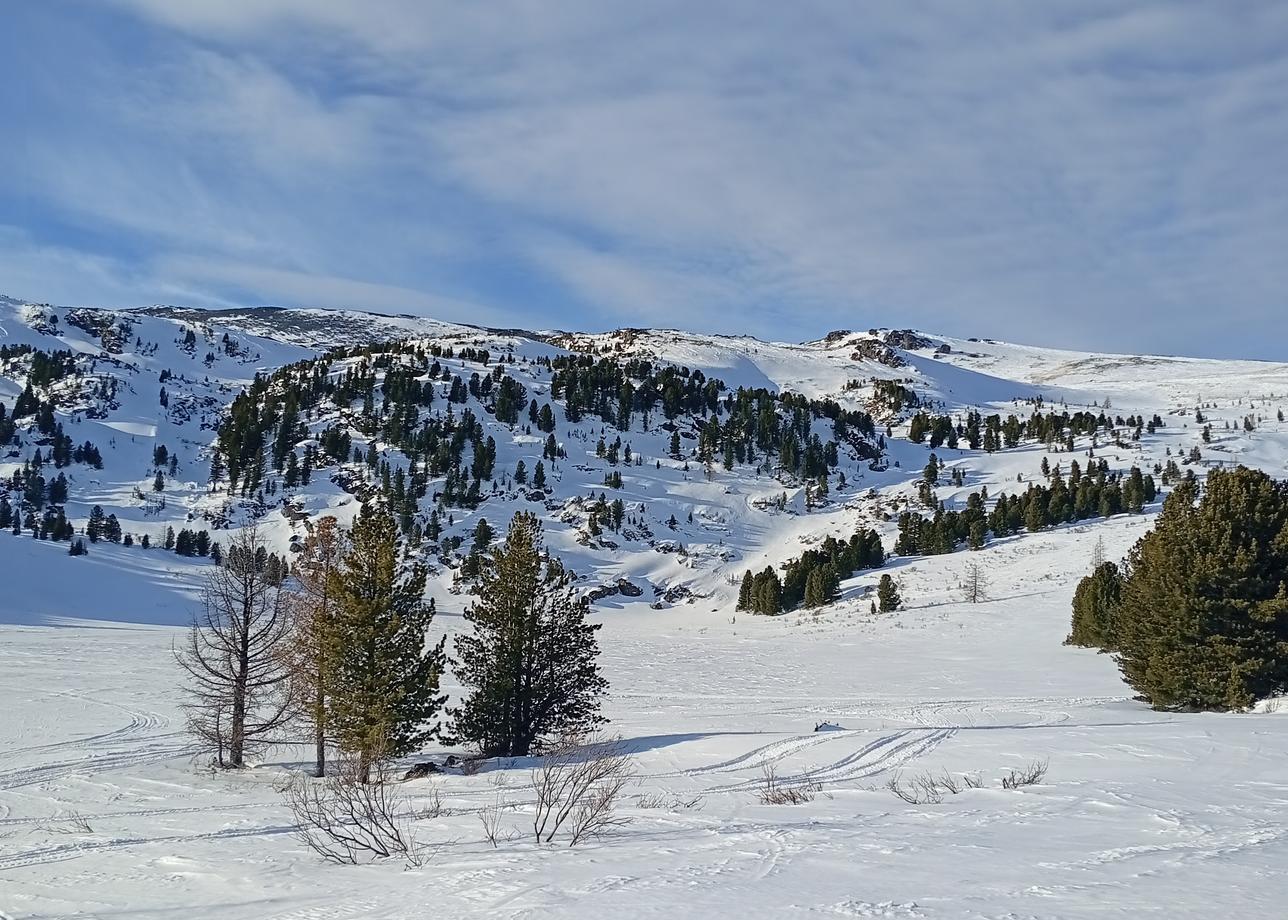 Обалденные виды, интересные путики, повезло с компанией и погодой, всё было просто класс