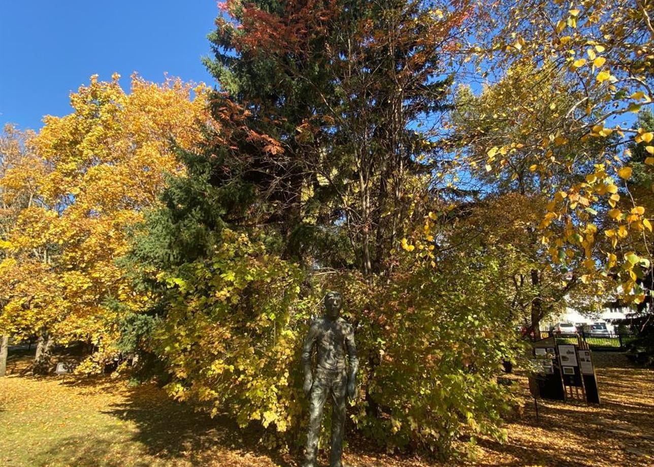 На высшем уровне!