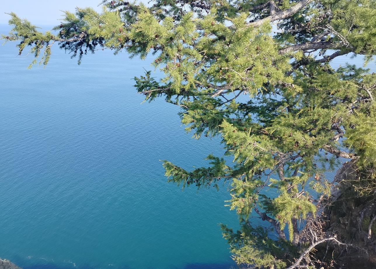 Отдыхали в трёхдневном туре, где главный был остров Ольхон. Нам понравился тур, организация хорошая, встретили, обратно