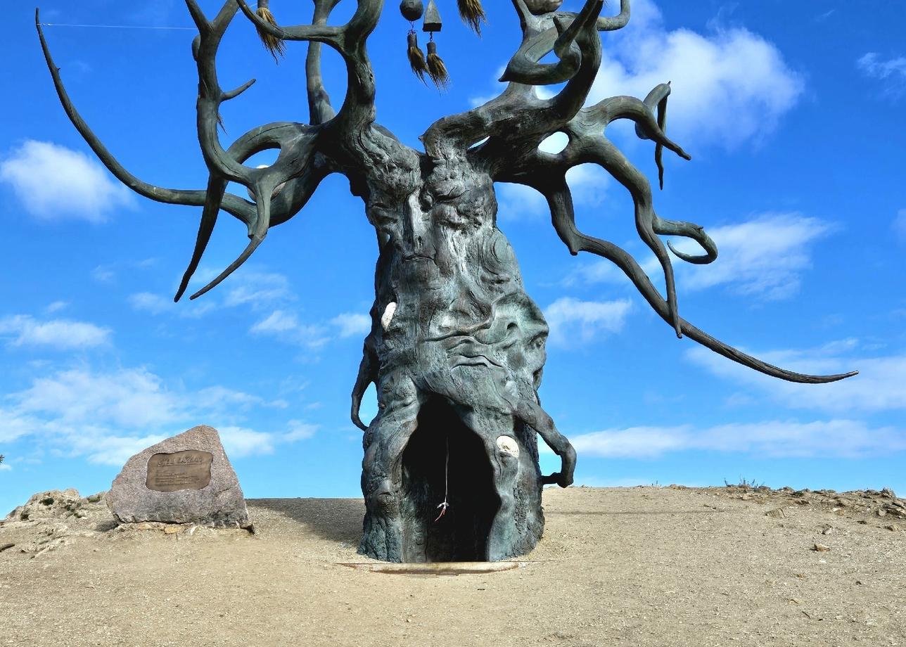 Спасибо принимающей стороне, команде профессионалов, отлично продуманная организация поездки.