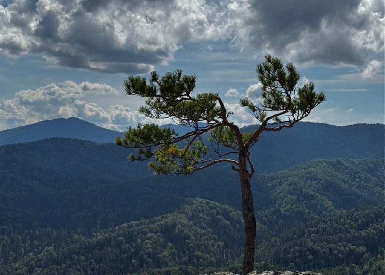 Впечатлений море! Тур замечательный! Программа составлена правильно, первые дни немного лайтово, потом активно, с бурями эмоций!