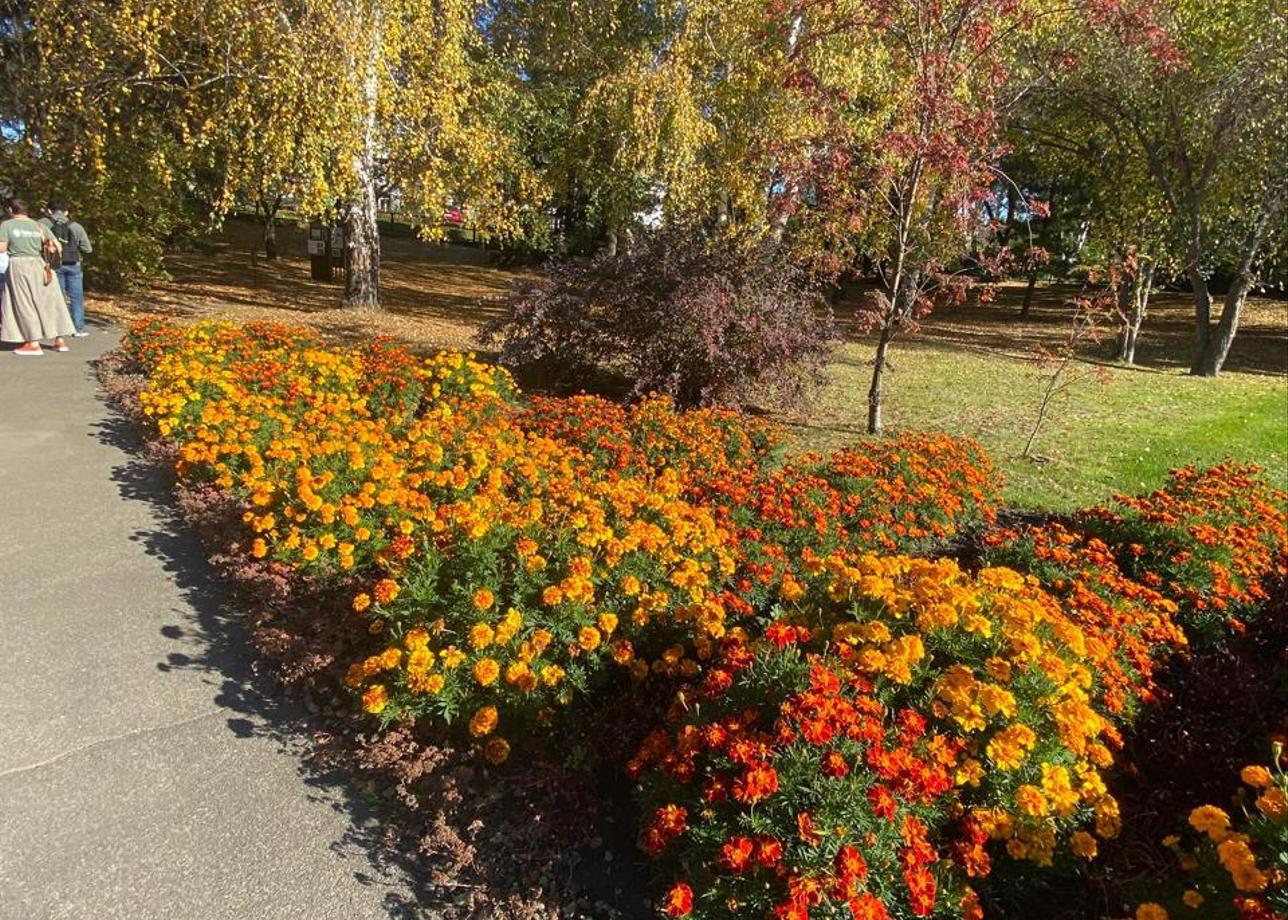 На высшем уровне!