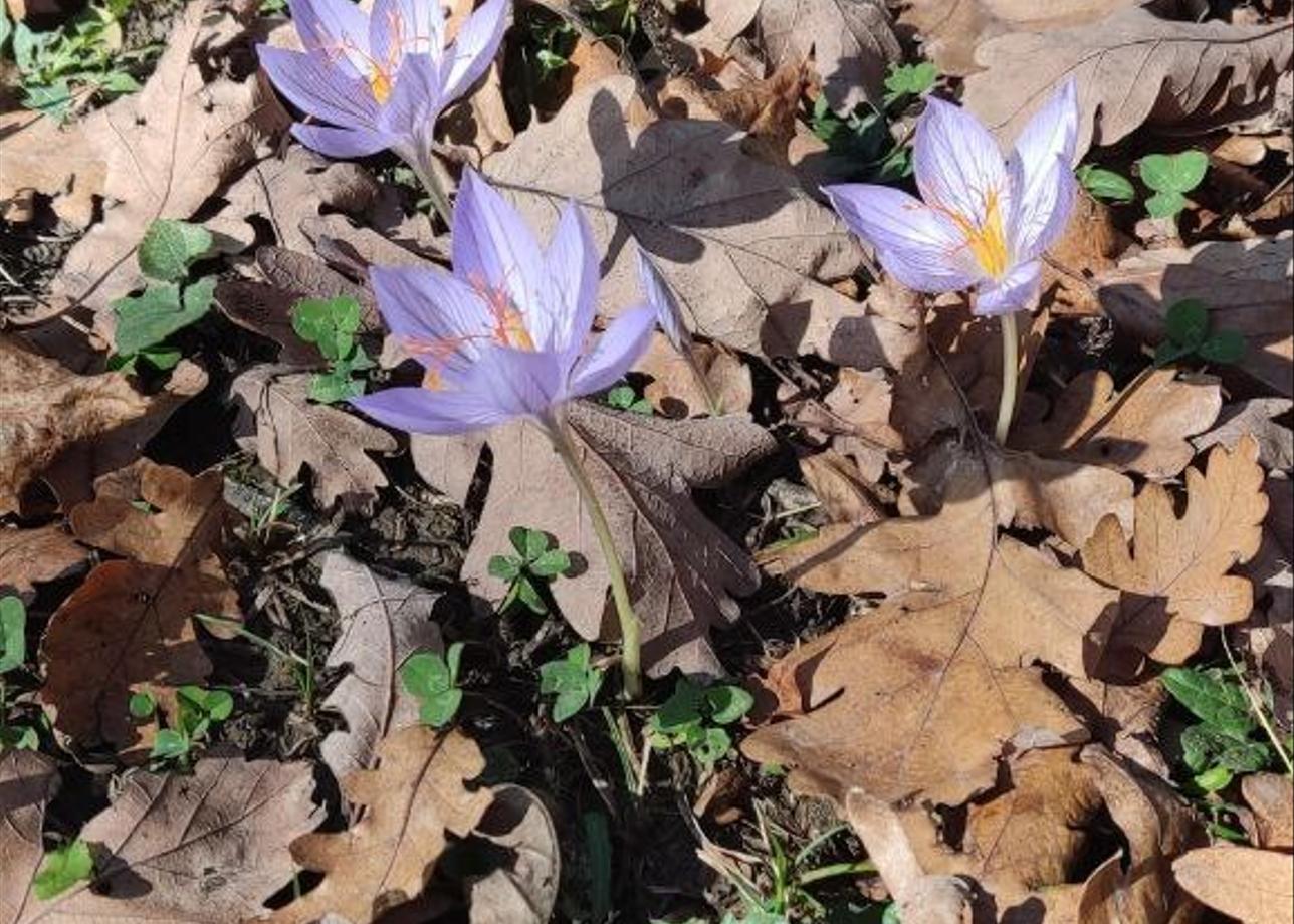 Организаторам великое уважение и благодарность!
