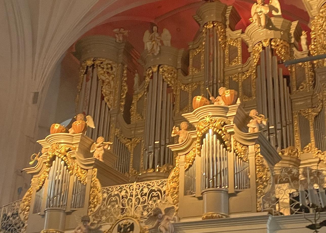 Я первый раз была в Калининградской области и ни о чём не пожалела. Было очень интересно