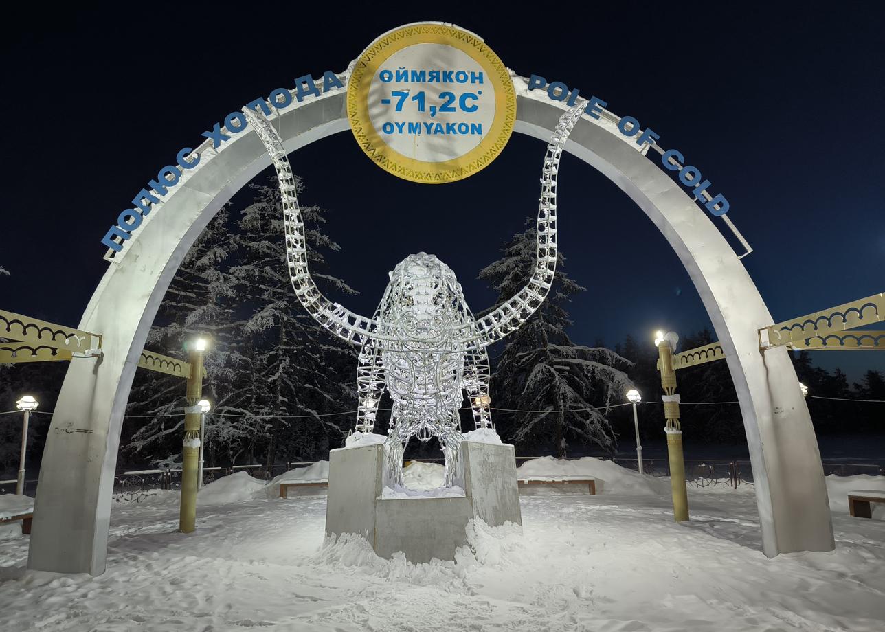 Отличная поездка. Встретили, отвезли и сопроводили на всех этапах. Спасибо всей команде. Якутия прекрасна и интересна.