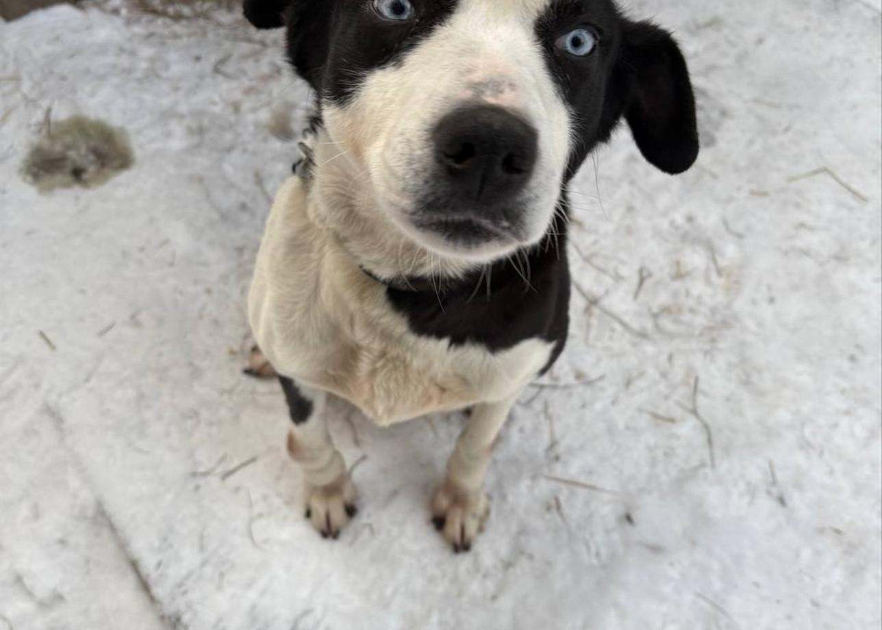Тур волшебный! Попали в снежную сказку и не пожалели. Не смотря на лютый мороз получили массу