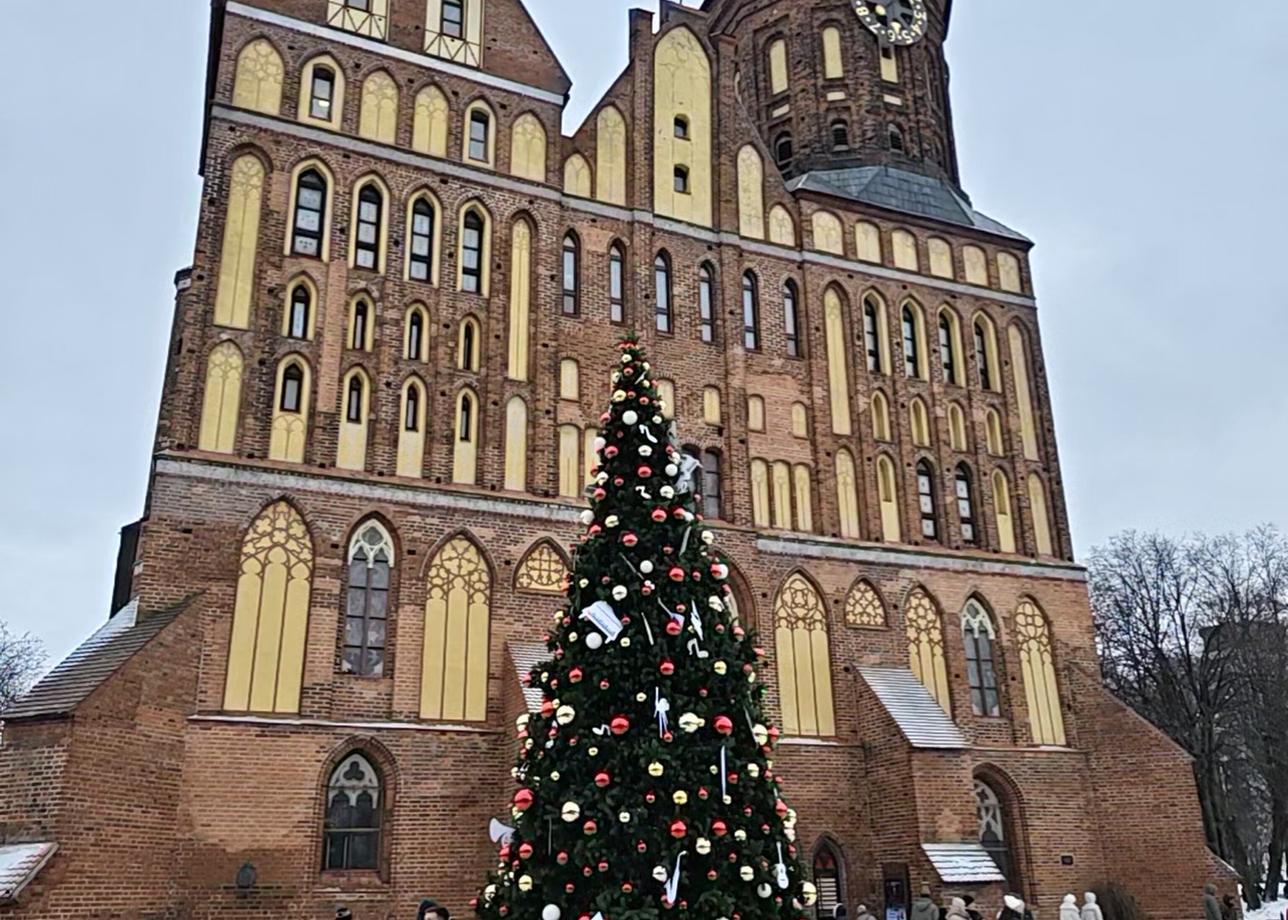 Очень понравился тур. Организовано все отлично, очень интересный экскурсовод, хорошие автобусы и водители. Проживали в г