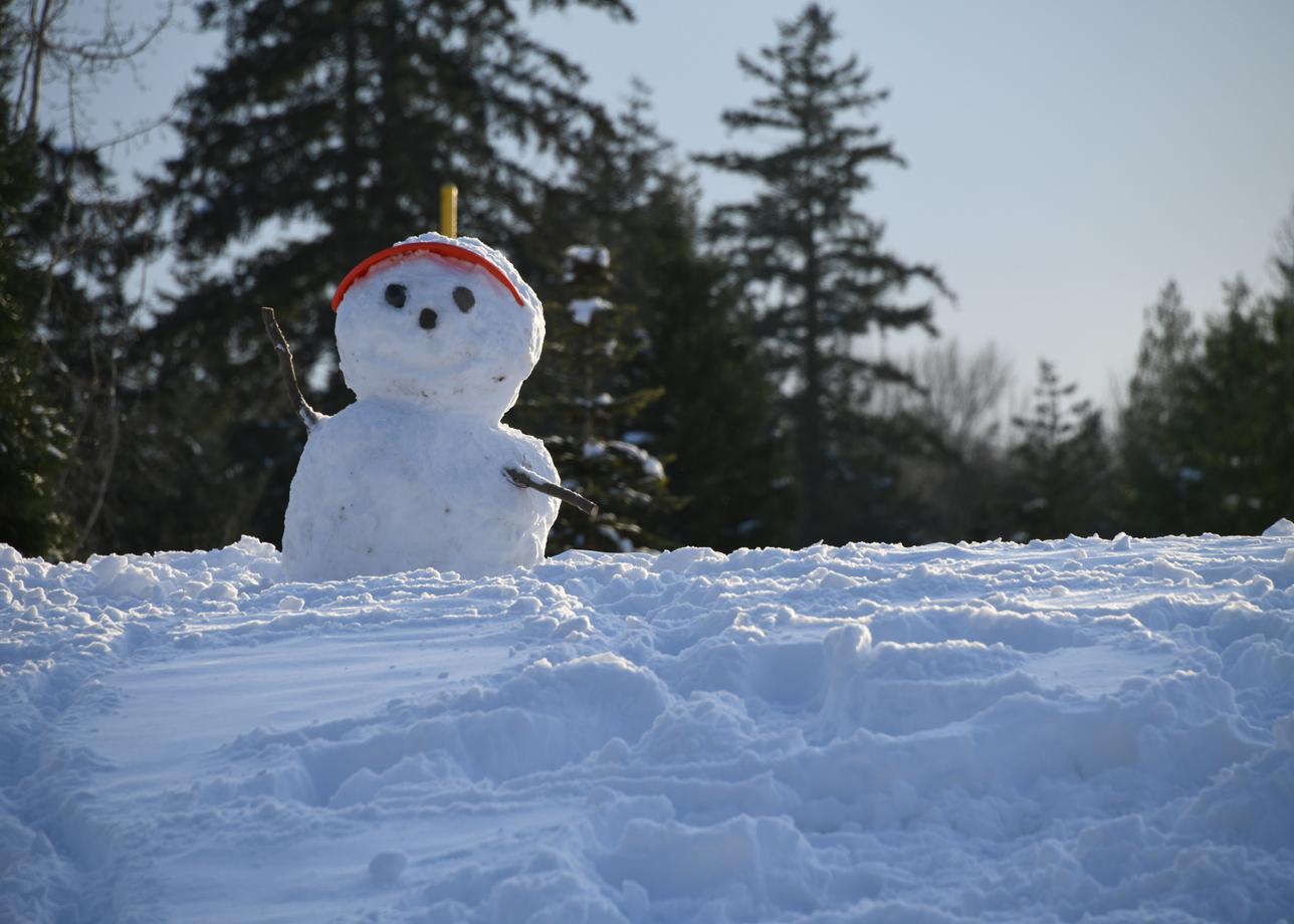 Зимние забавы на выходные в Орловской области
