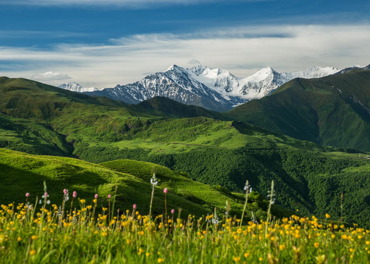 Знакомство с Чеченской Республикой