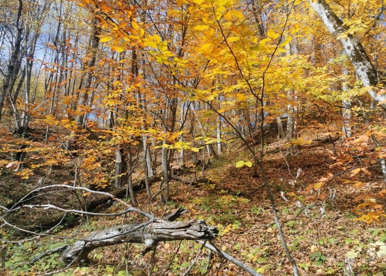 Были в туре с детьми на каникулах (с 26.10 по 01.11.2025)