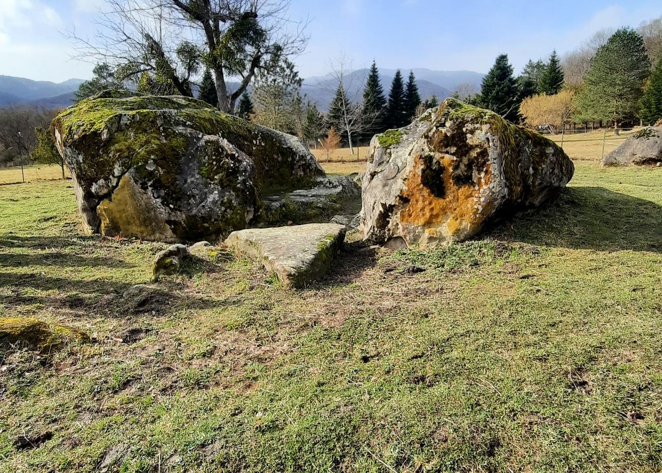 Повезло с погодой - горы с сияющими снежными вершинами,а внизу уже цвели цикламены и морозники! Дыхание захватывало от безмятежной красоты гор!
