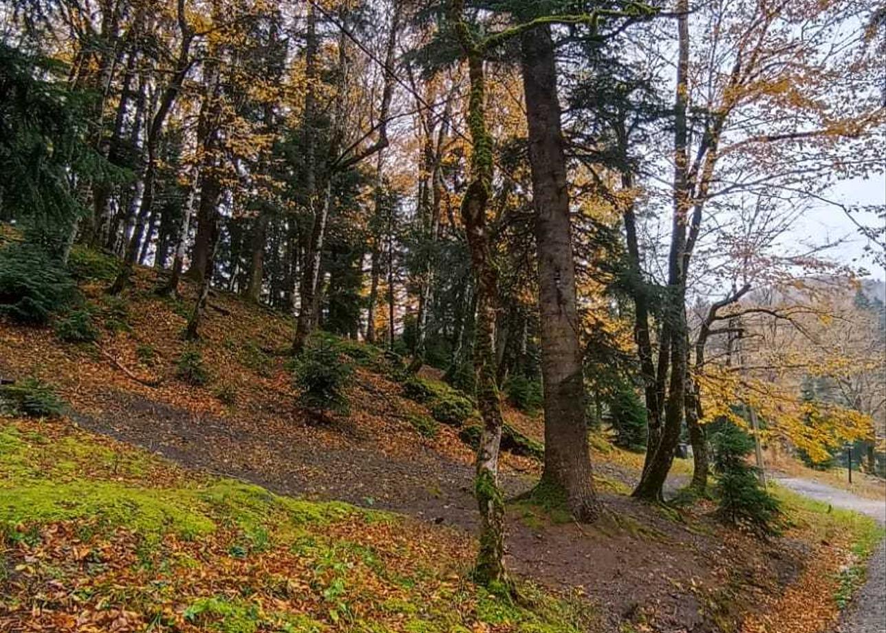 Тур превзошел все ожидания: красивая природа, действительно "очей очарованье", замечательный гид Людмила: много и интересно рассказывала