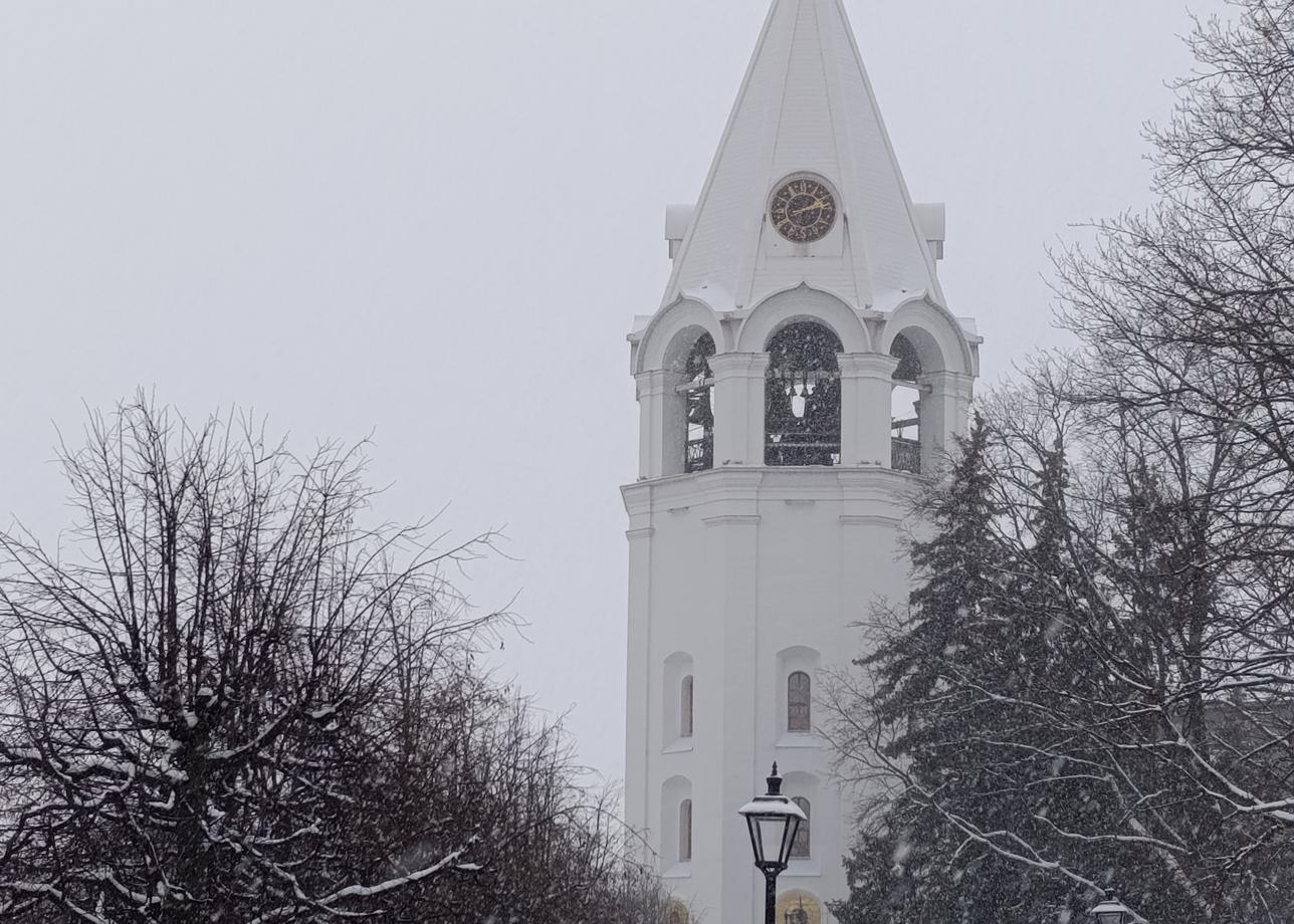 Справляли Новый год в Нижнем Новгороде. Самые замечательные впечатления! Мы прибыли в НиНо 31 декабря, доехали