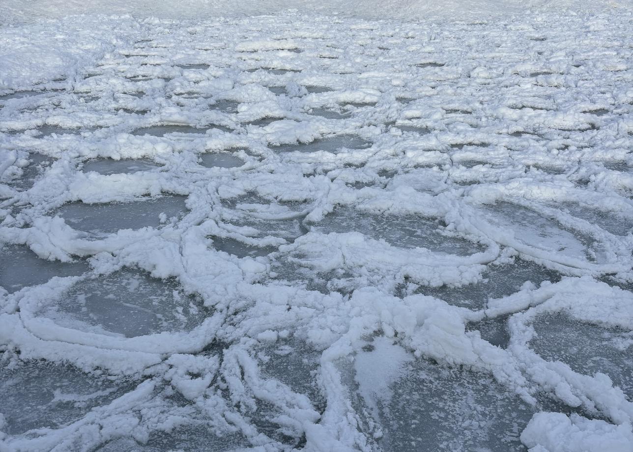 Прекрасная организация! Отличное размещение и питание. Профессиональные гиды. Интересная программа!