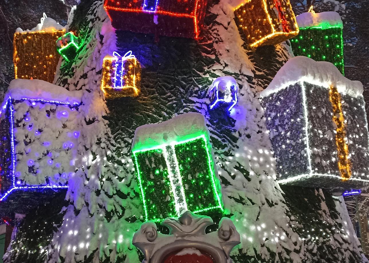 Нам всё понравилось! Питание, проживание и программа тура на отлично. В номере приятные подарочки, персонал вежливый