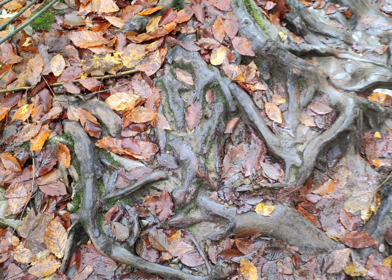 Путешествовали по Адыгее по программе тура "Водная Ривьера. Осенний отдых на термальных источника" в период осенних