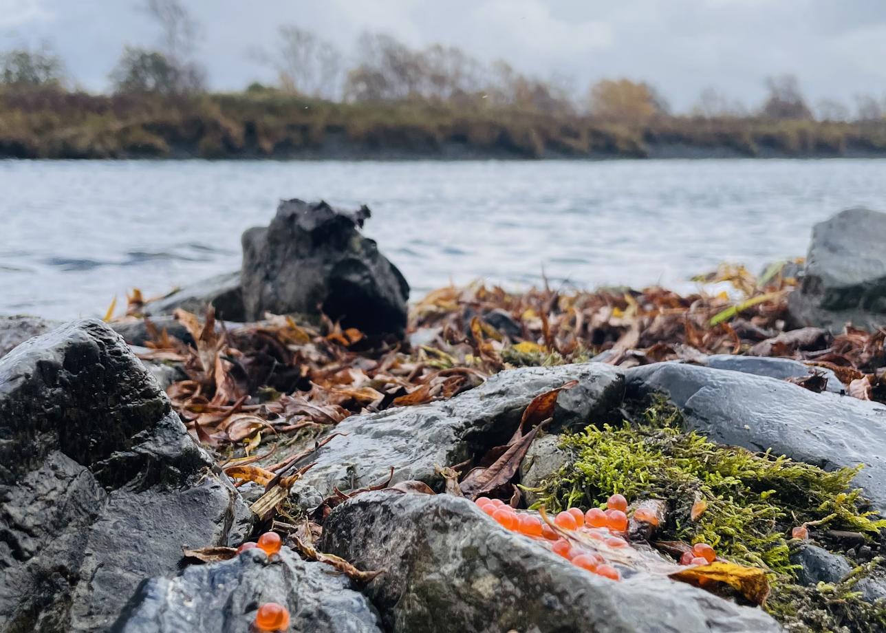 Хочу выразить огромную благодарность всей команде организатора за первое свидание с Камчаткой.