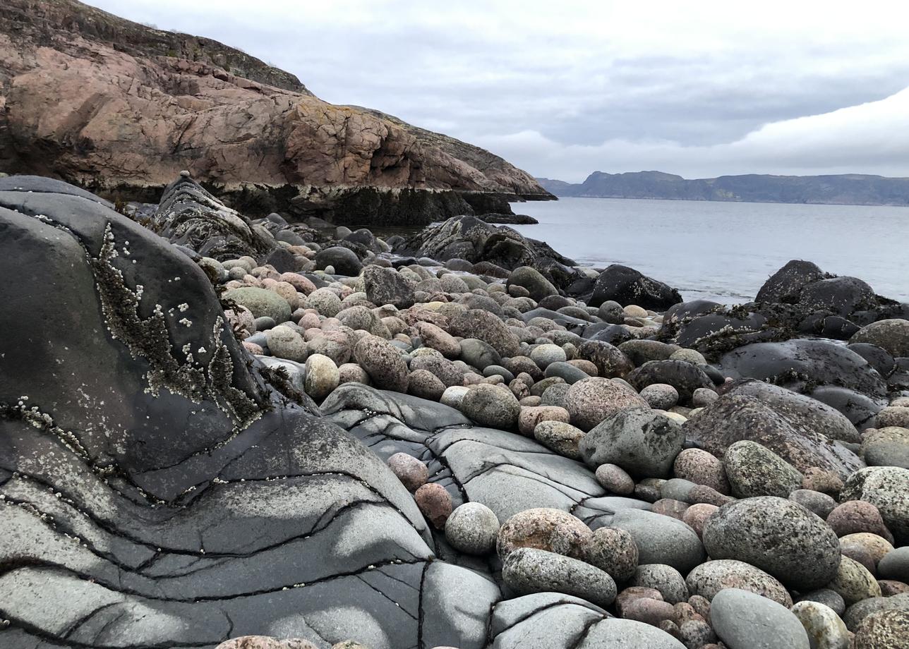 Интересный тур, природа севера впечатляет, Баренцево море бескрайнее. Довольно плотно были заполнены все три дня. Гид