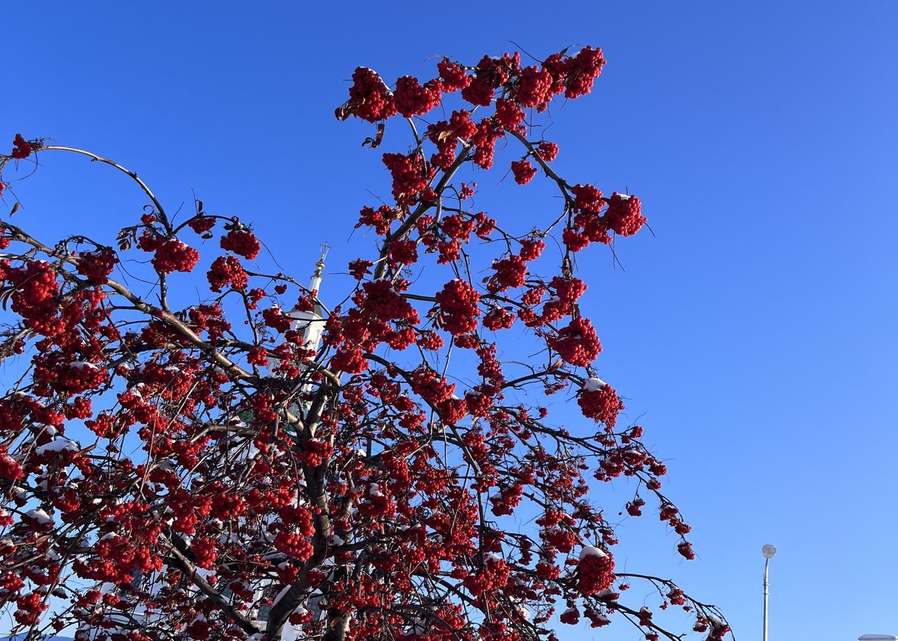 Прекрасный новогодний тур. Рекомендую к посещению! ☺️🎄☀️🥰
